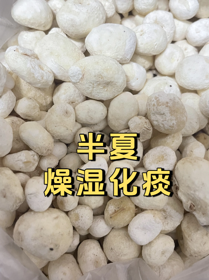 半夏:燥湿化痰 半夏有燥湿化痰,降逆止呕,消痞散结