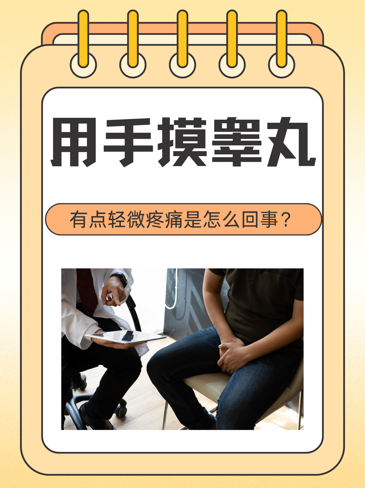 睾丸是男性生殖系统的重要部分,负责产生精子,分泌着维持男性特征