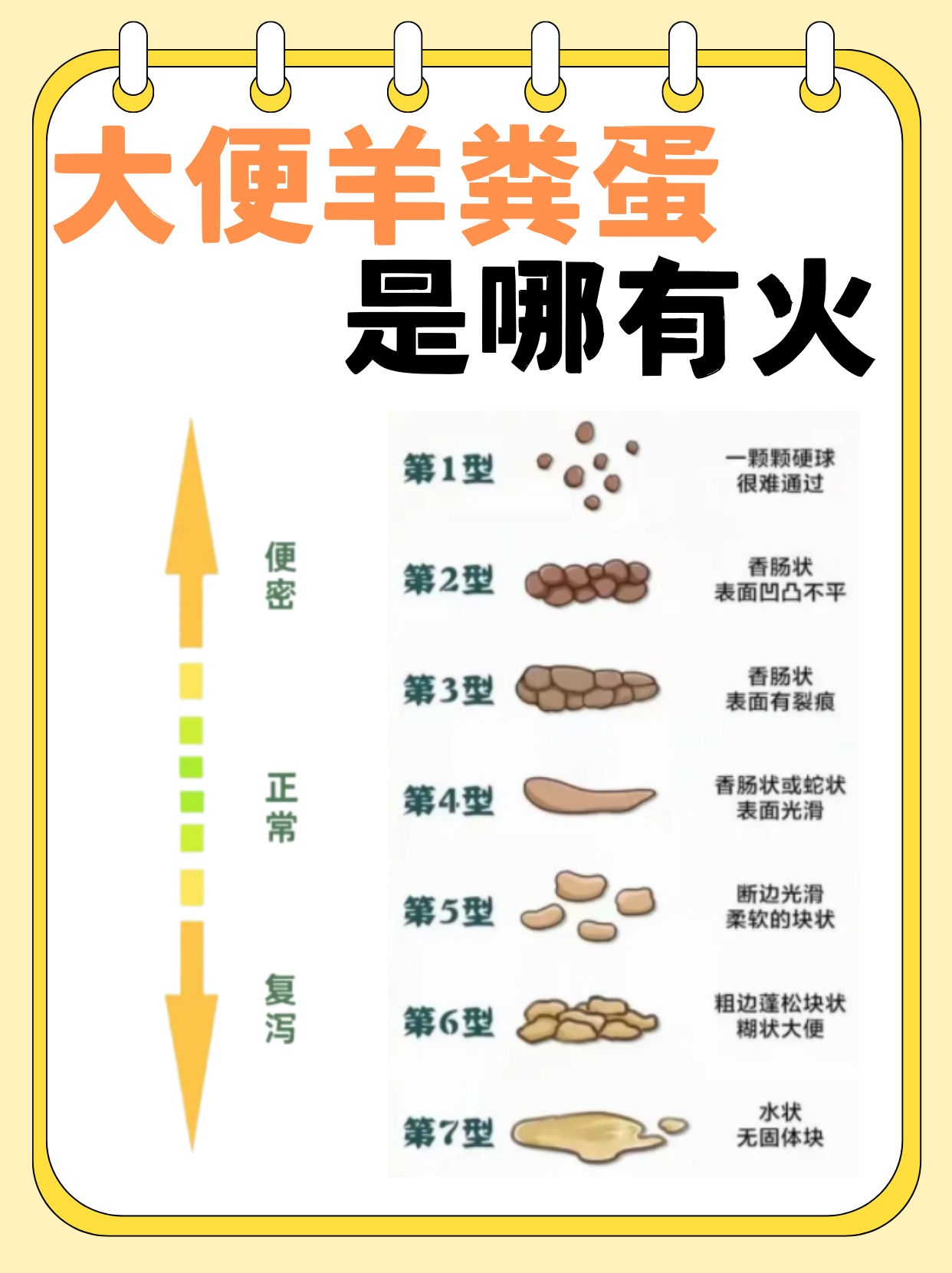 大便图羊屎蛋大便羊屎蛋大便图片胆囊炎大便图片羊屎便羊屎粒大便图片