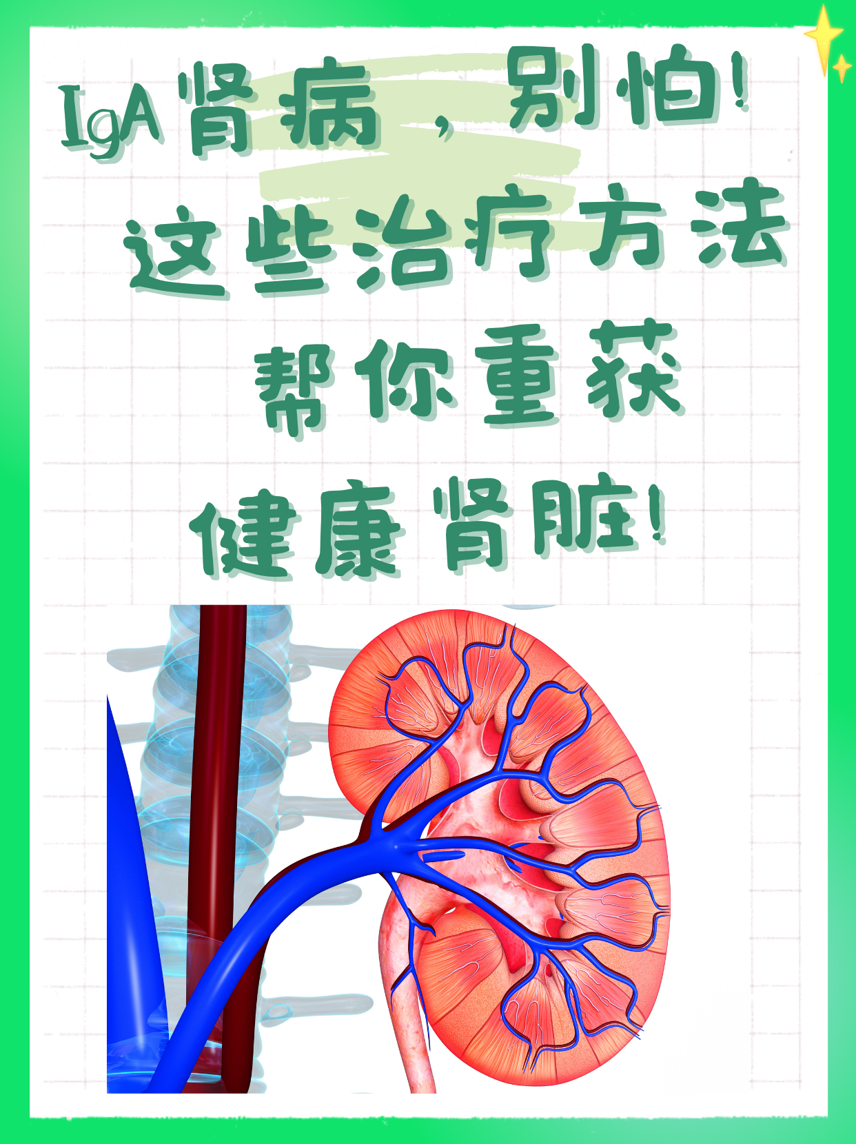 iga肾病,别怕!这些治疗方法帮你重获健康肾脏!