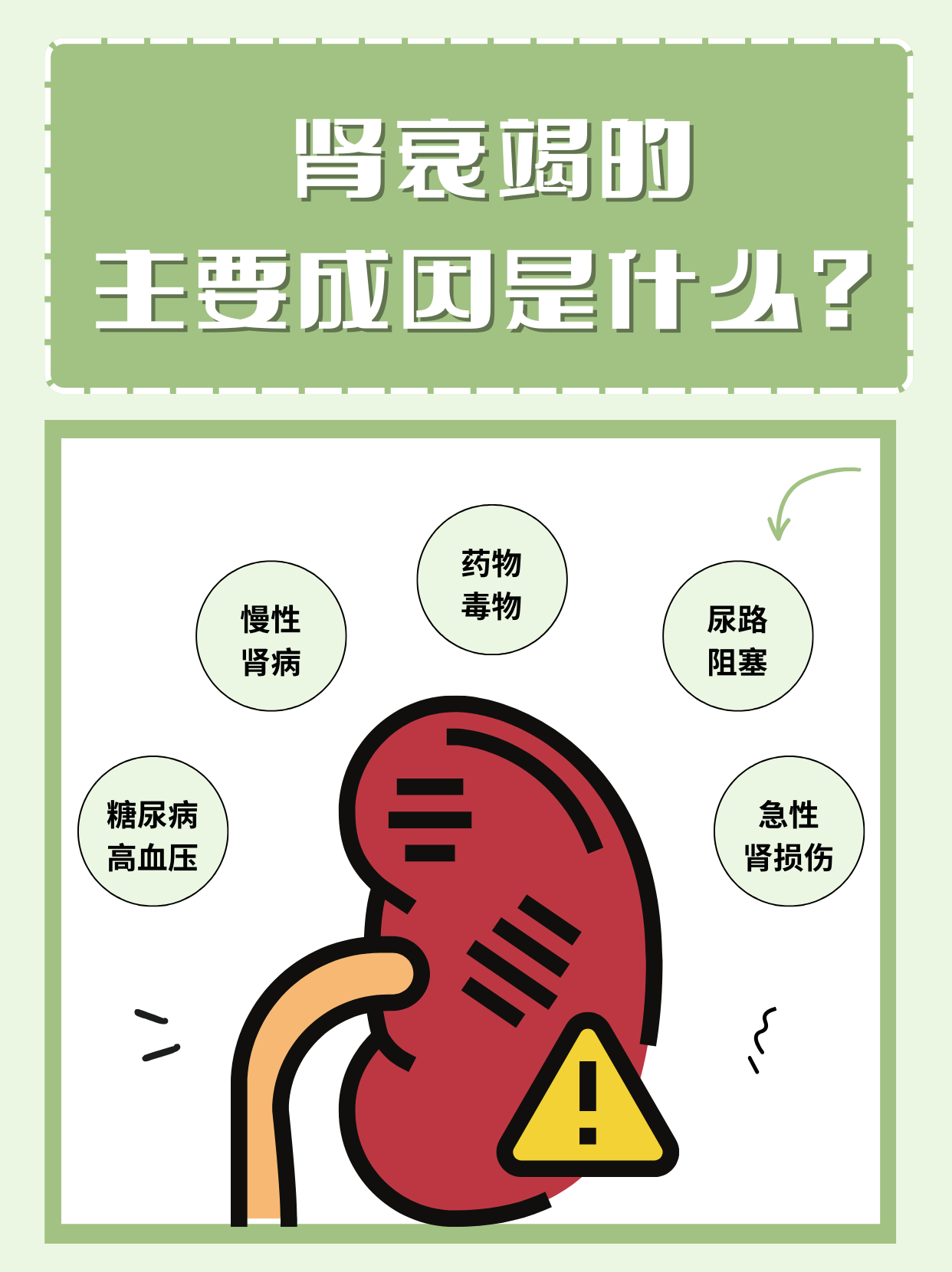 然而,当肾脏功能逐渐下降,无法有效执行这些任务时,便会出现肾衰竭