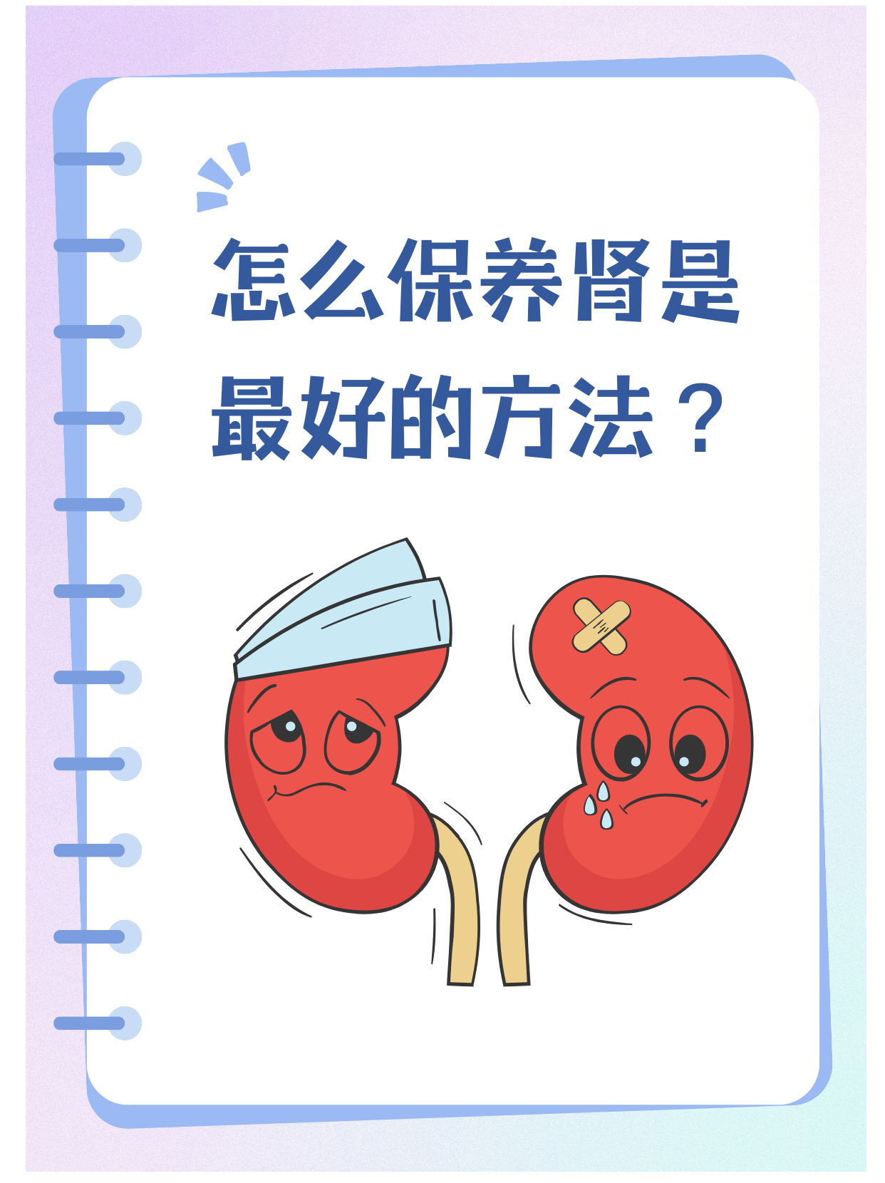 护肾肾部保养图片肾脏的作用保护肾脏肾脏保护肾的作用护肾指南图片肾