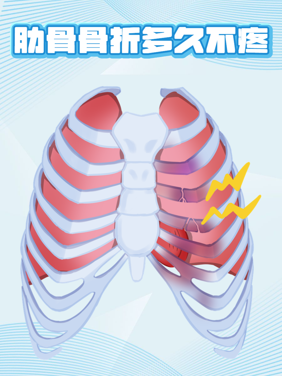 带你了解  生活中,意外总是难以避免,一不小心,肋骨骨折让许多人痛苦