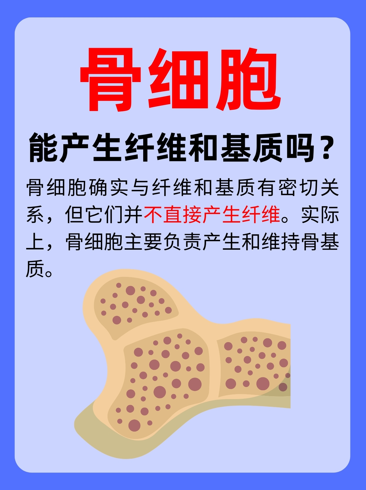 骨细胞确实与纤维和基质有密切关系但它们并不直接产生纤维