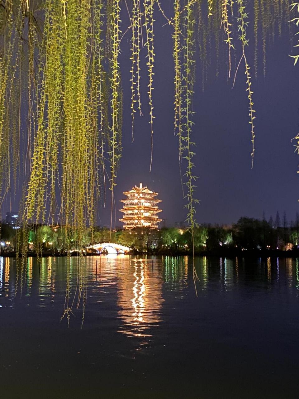 济南的夜景图片