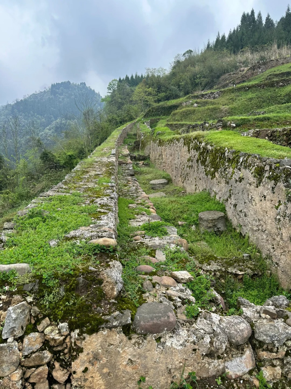 湘西永顺土司城遗址图片