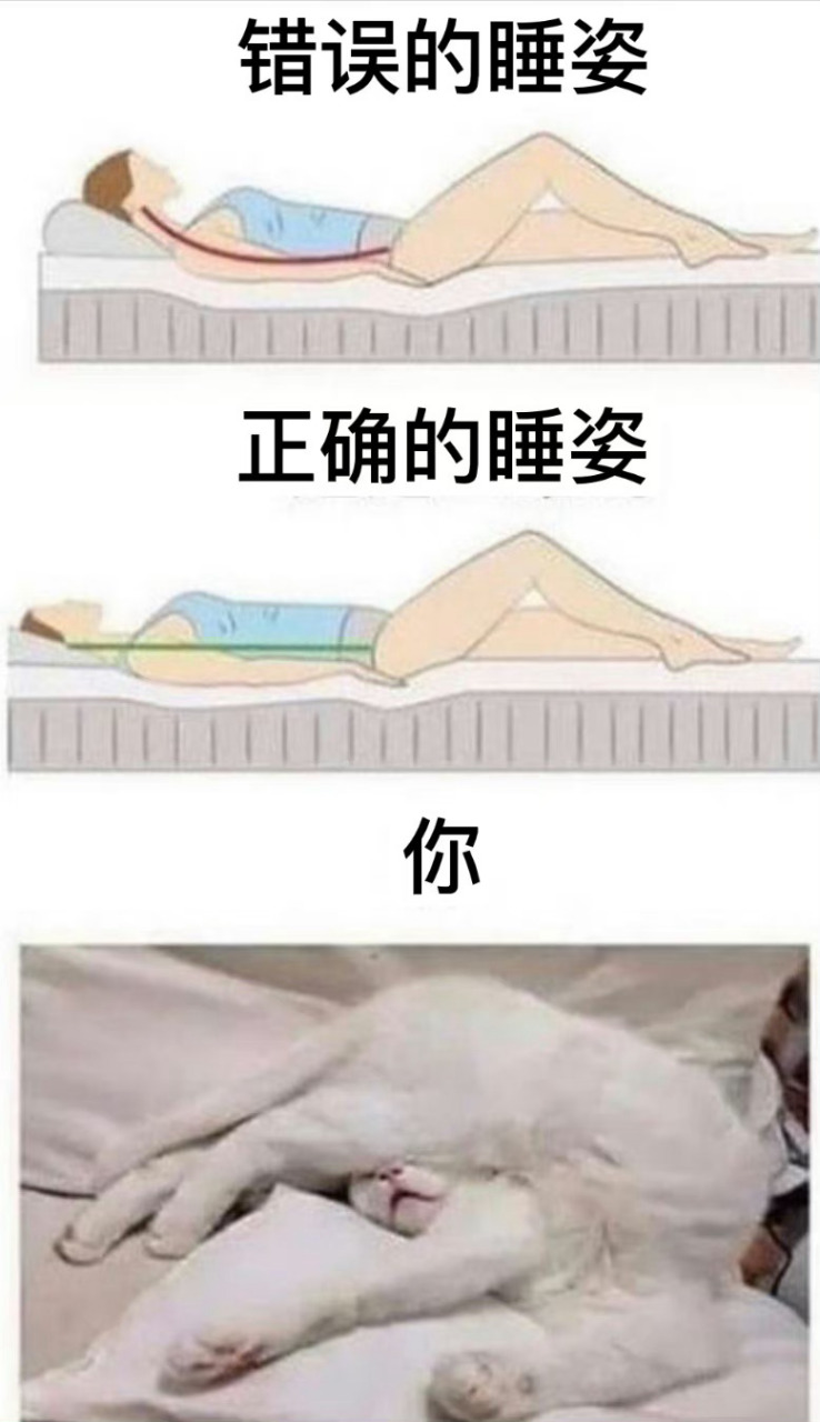 睡姿图片正确错误对比图片