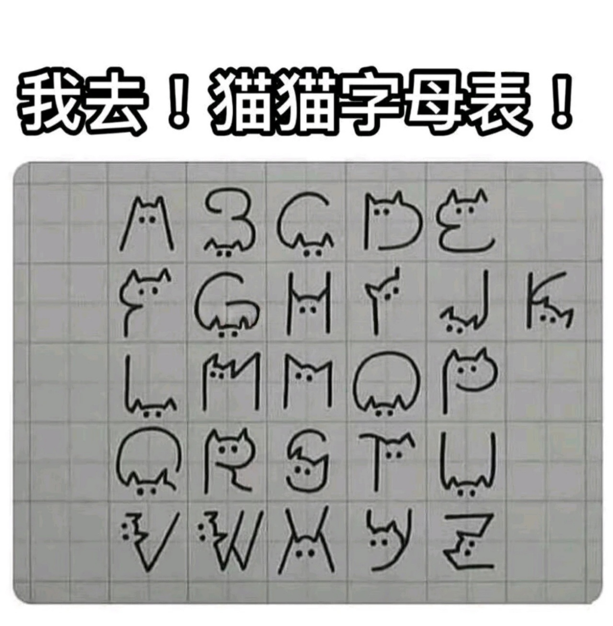 可爱的猫猫字母表(*╹▽╹*)(*╹▽╹*)