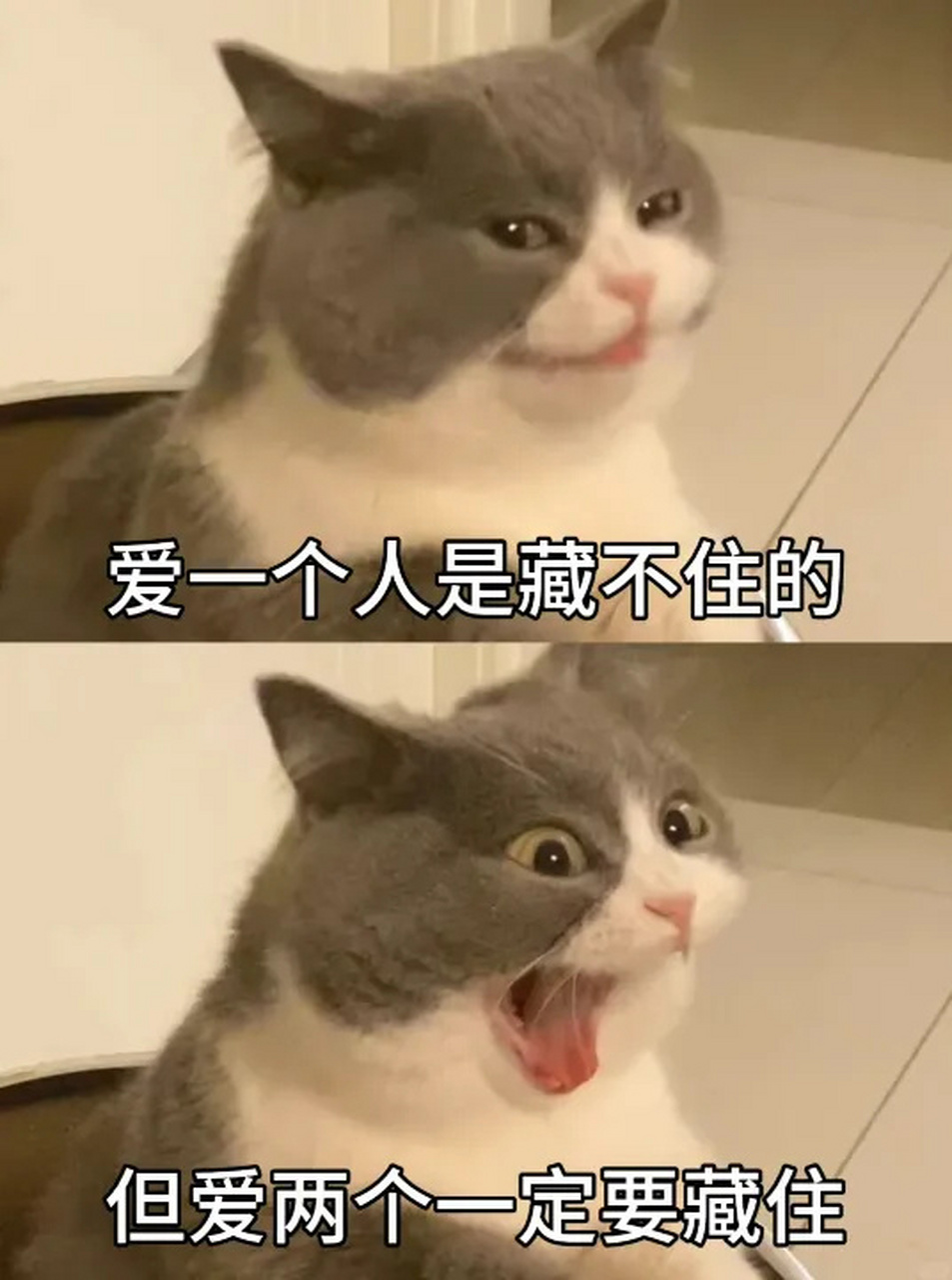 爱一个人是藏不住的,但爱两个要藏住! 676767