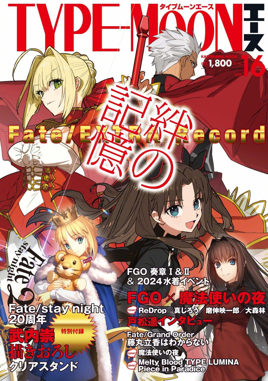 type-moon ace vol.16封面:「fate/extra record」特集 ​​​