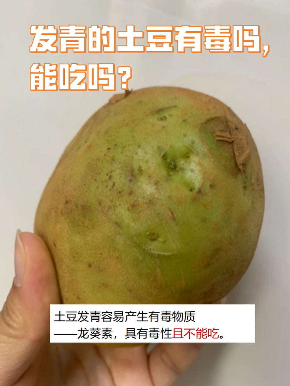 发青的土豆有毒吗,能吃吗?