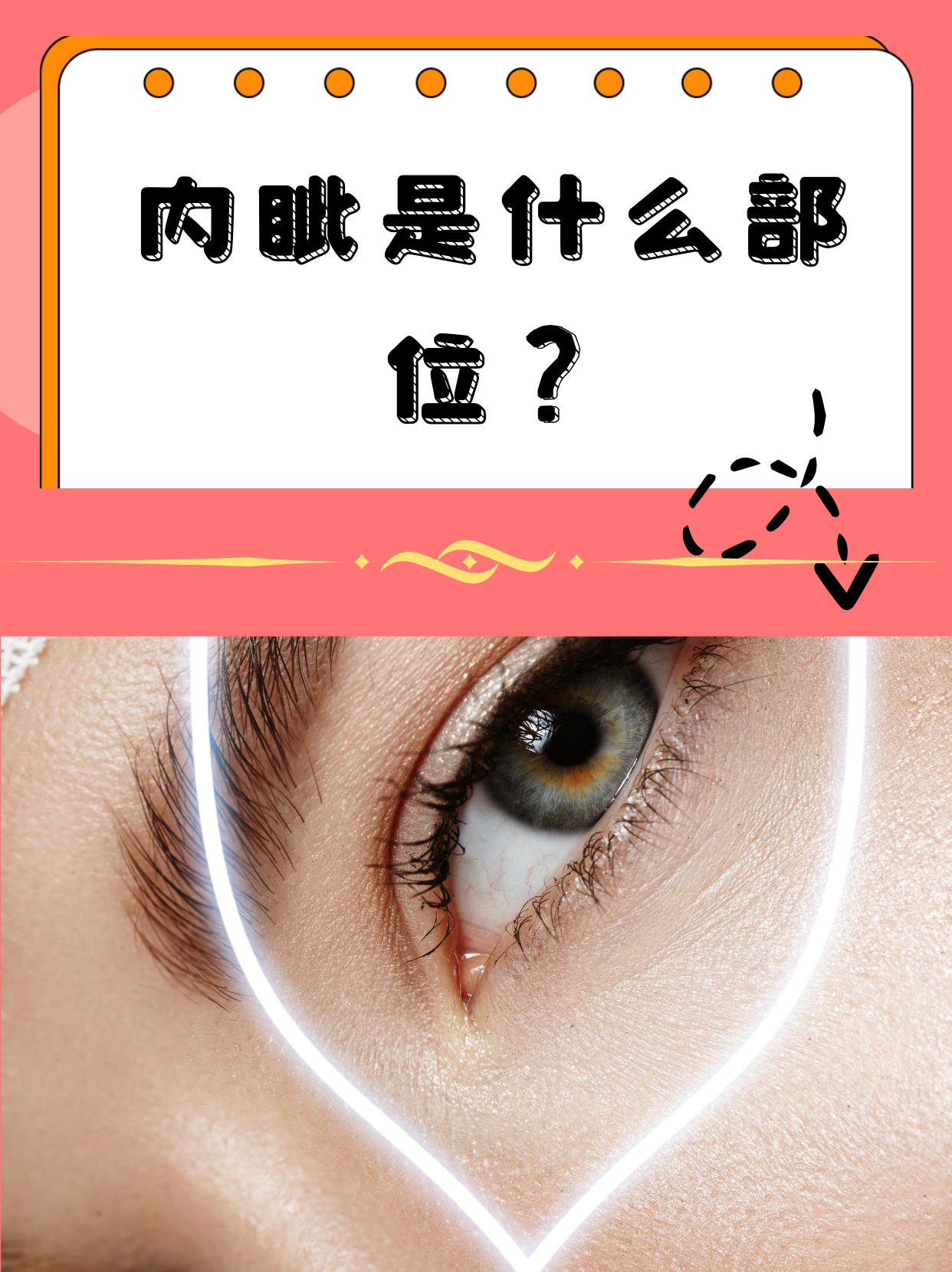 其中,"内眦"这个词汇可能对一些人来说比较陌生