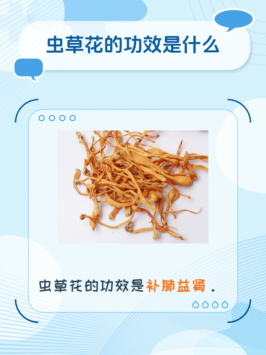 虫草花的功效是什么?你还不知道吗