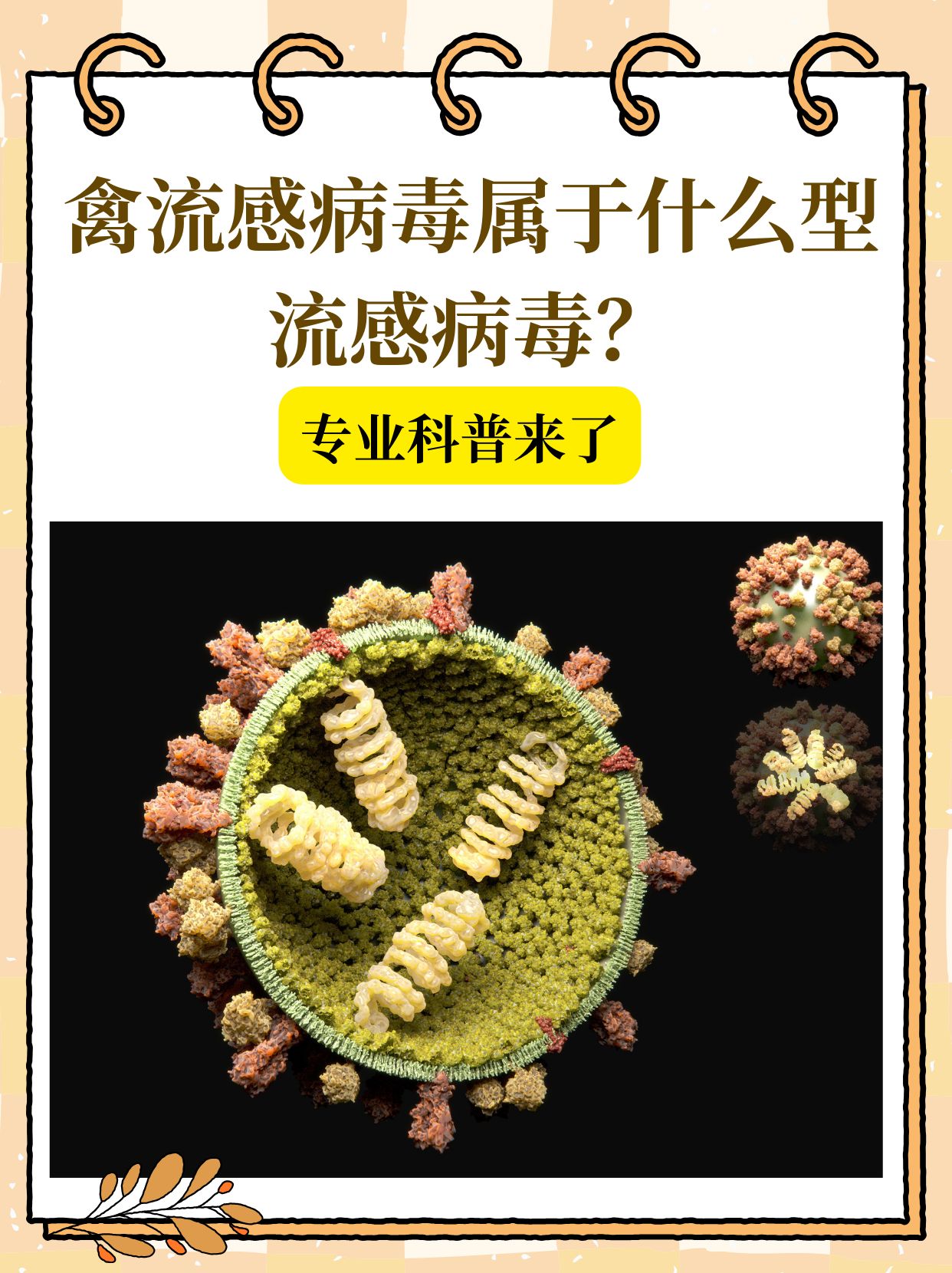  疫情是什么病毒啊图片高清(疫情是什么病毒叫什么名称)