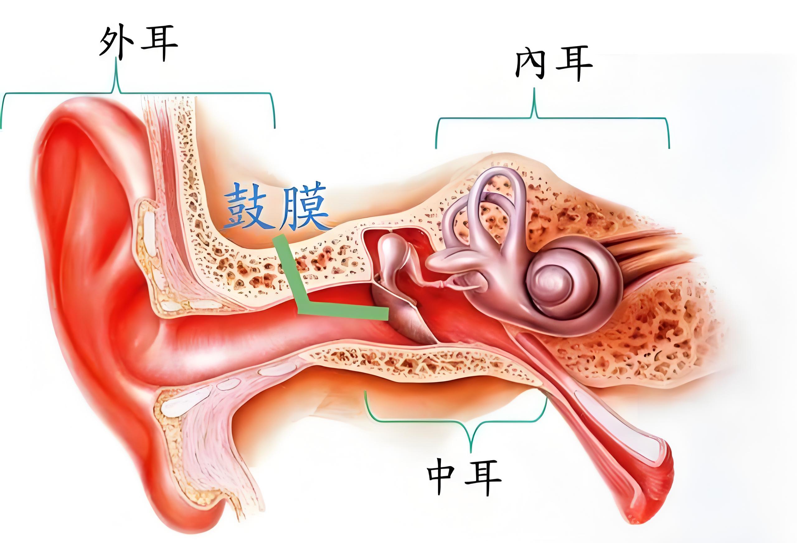 鼓膜穿孔:有自愈可能吗?