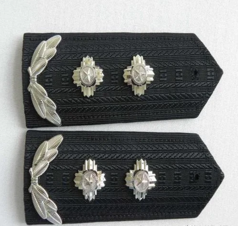 所以省公安厅厅长都是副部级,警衔是副总警监,公安厅厅长也都是