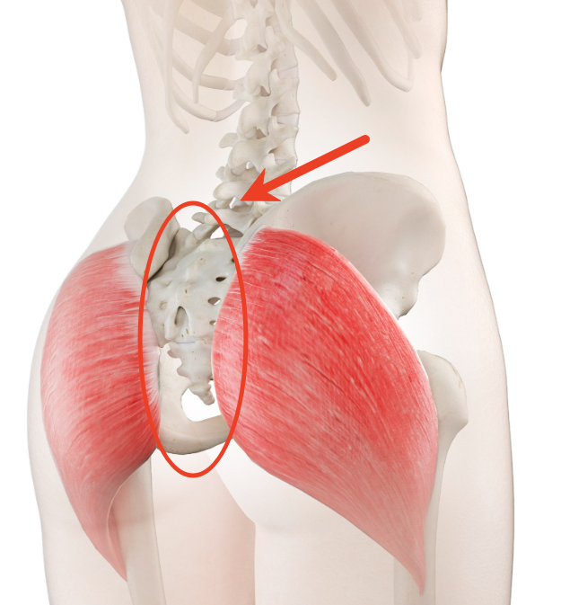 两边屁股中间的骨头疼是什么引起的