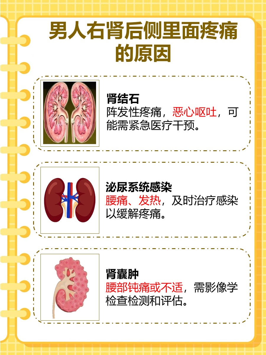 男性右肾后侧疼痛,可能是这些原因