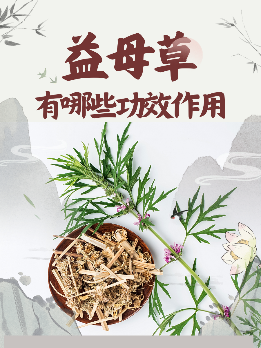 益母草的禁忌人群 1.孕妇 2.月经过多者 3