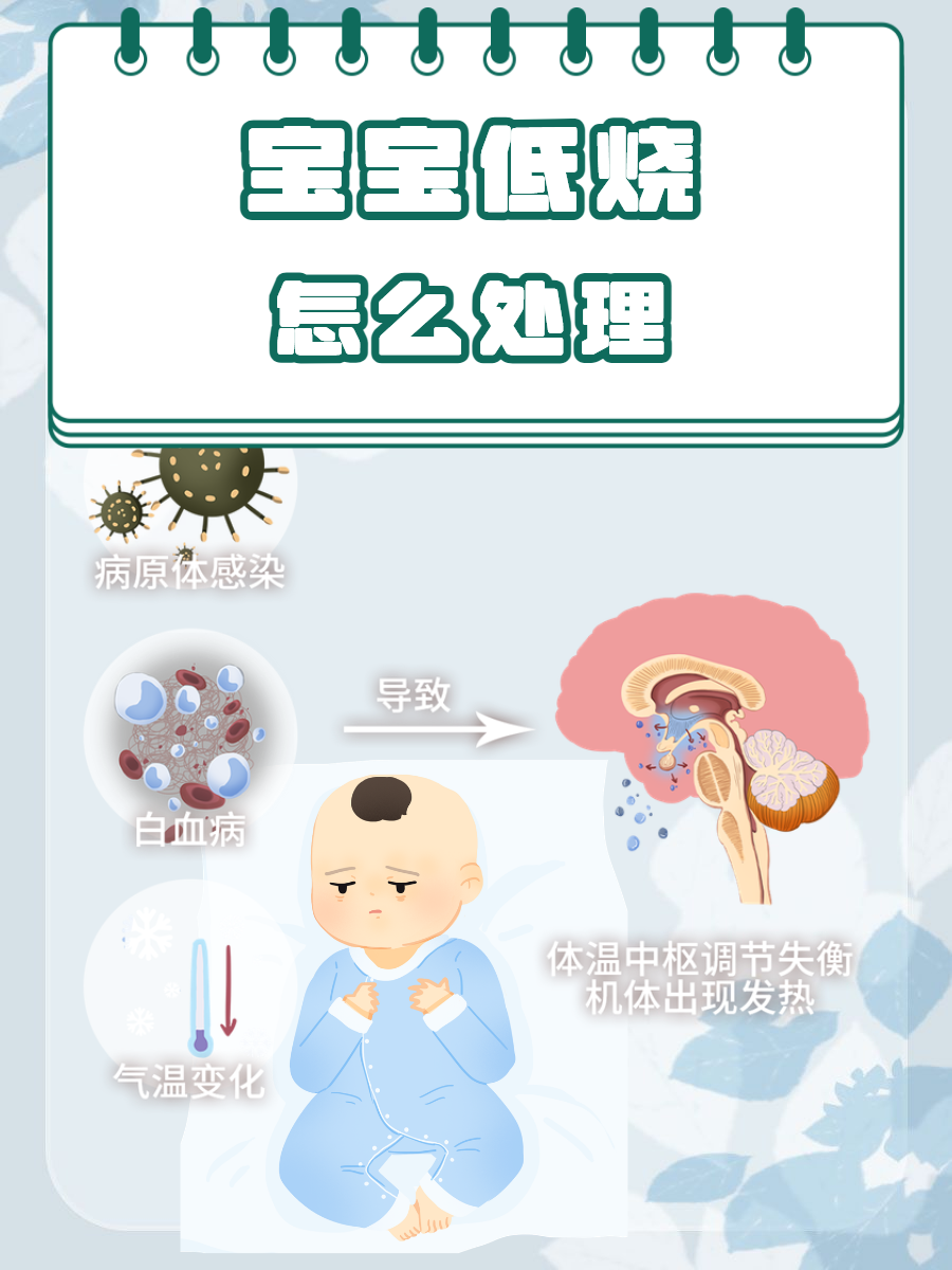 为什么低烧不退是什么原因百科在线