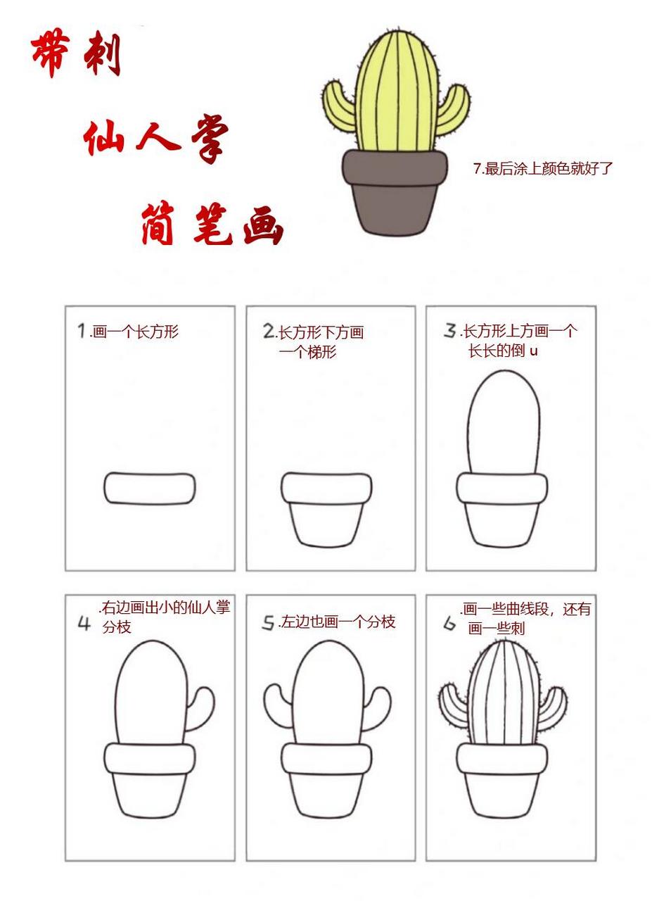 仙人掌的生长过程图画图片