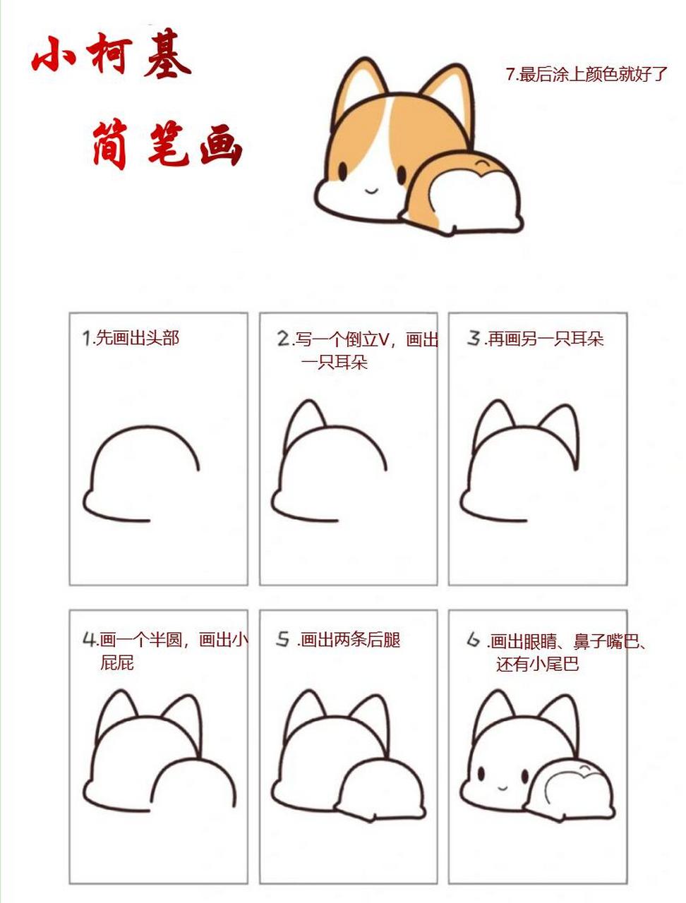可爱小柯基的简笔画来咯,简单又好看  1.先画出头部 2.