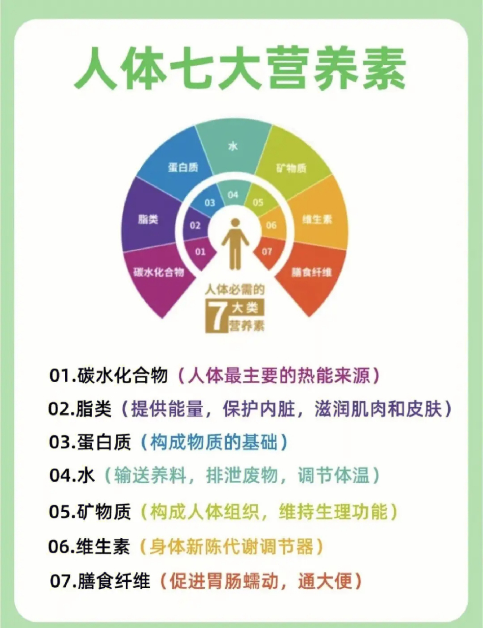 人体的七大基本营养物质,缺少一类都会导致身体营养不均衡 1:蛋白质 2