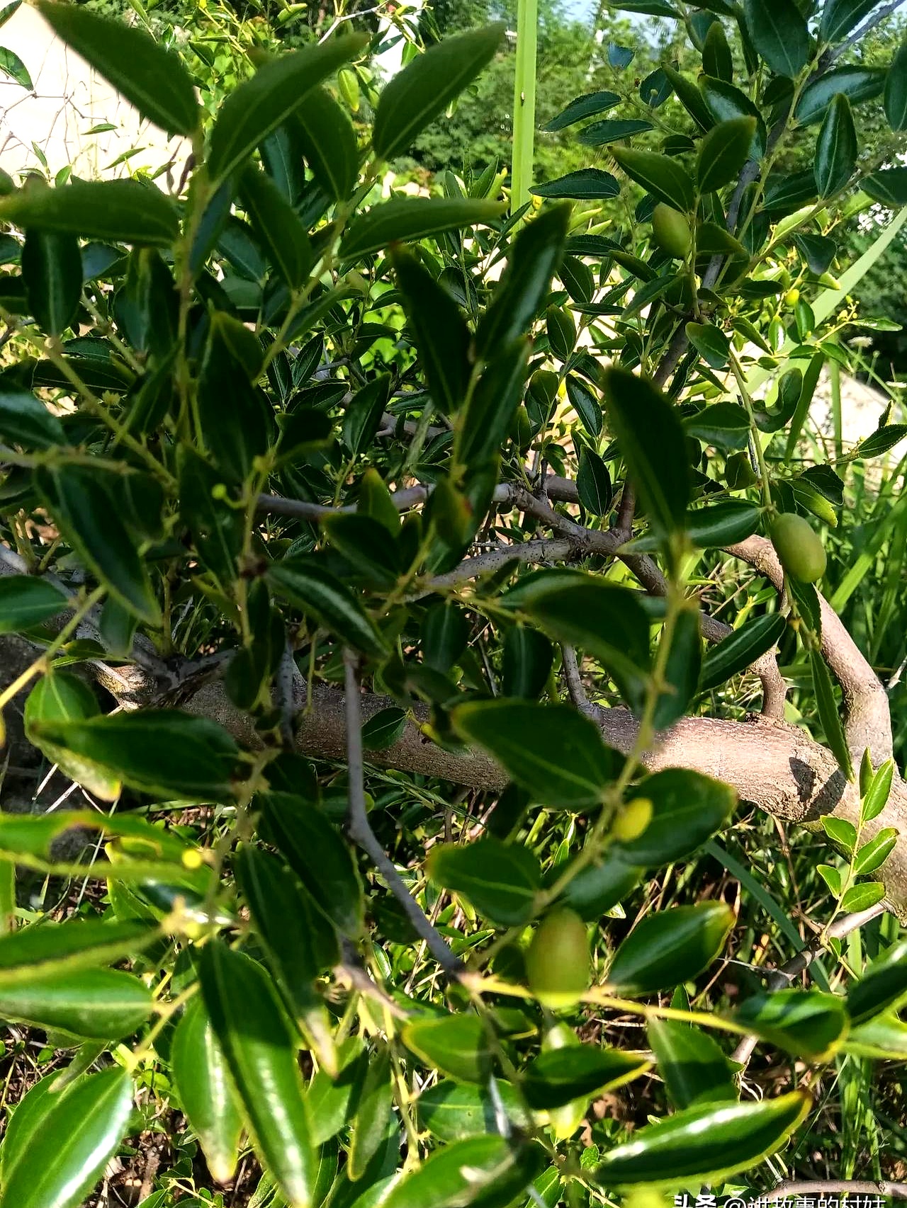 有时候大人太糊涂,真能耽误孩子一辈子