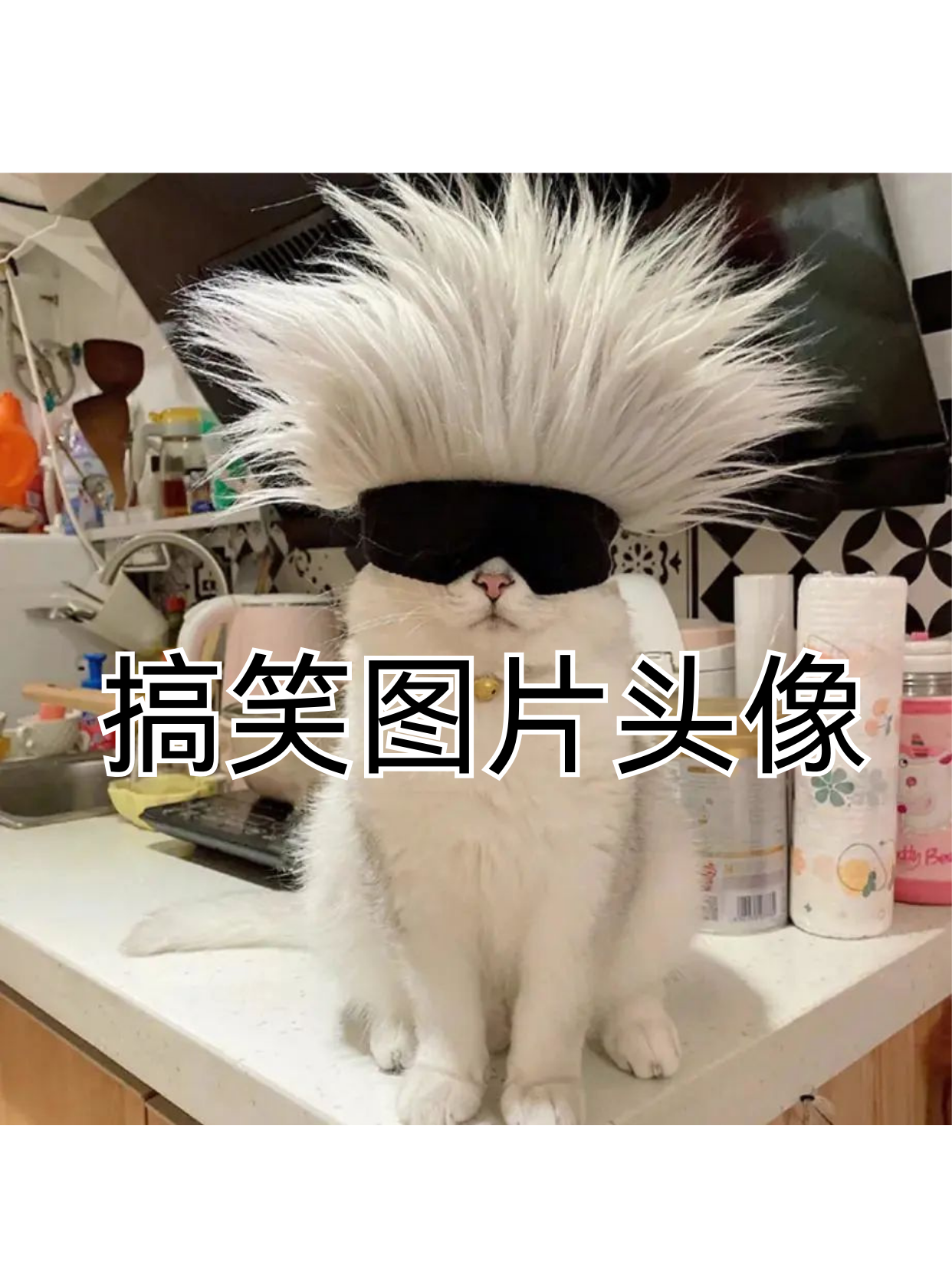 有只穿着袜子 试图跳芭蕾的二哈,那魔快手头像搞笑快手快手搞笑图片