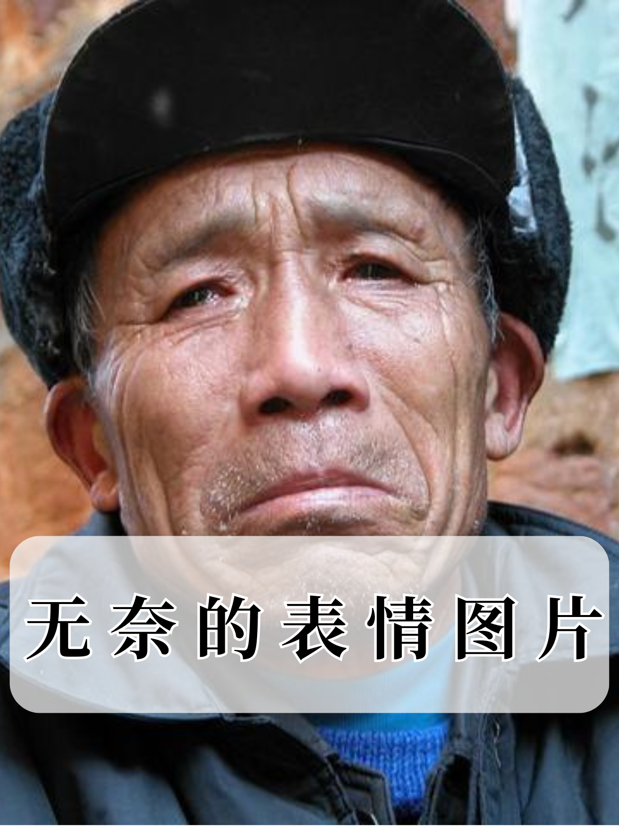 今天咱要来品一品其中那带着一丝酸涩的"无奈"滋味,通过这些"无奈的