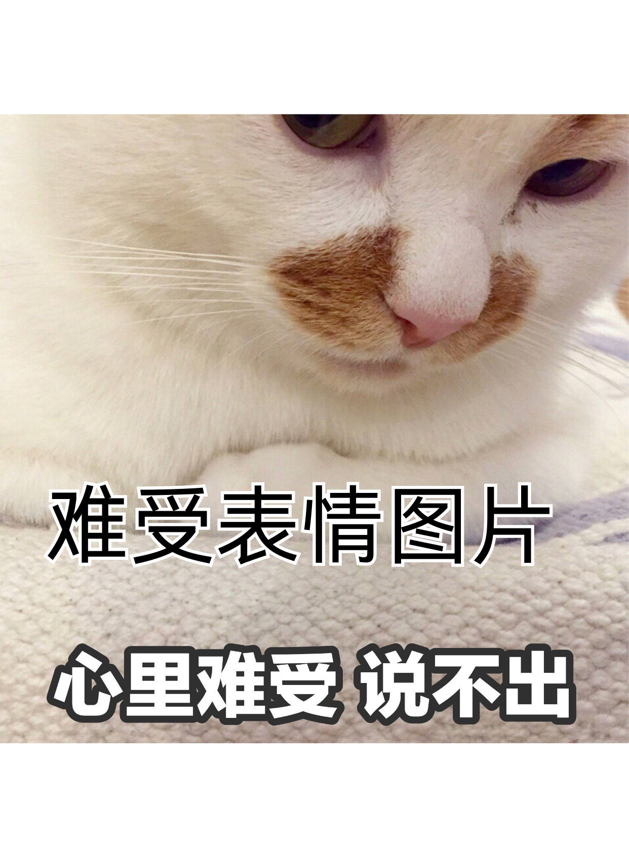 但咱也得找个 难受的图片难受表情图片难过的图片配图难受表情包难受