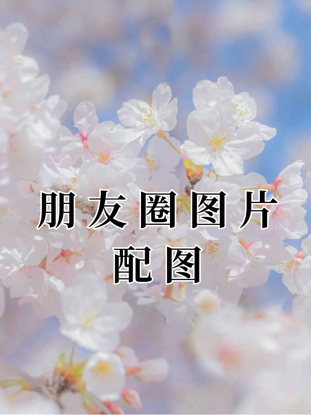 在这个颜值即正义的时代,朋友圈配图可是至关重要的