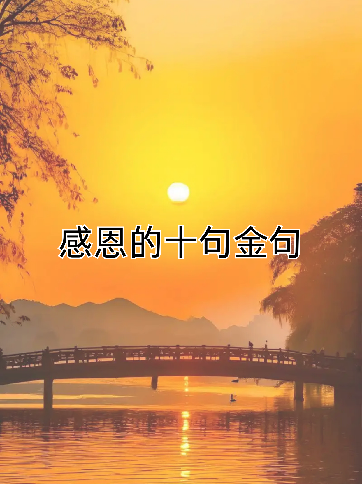 感恩是一种美德,它让我们珍惜生活中的每一份给予和