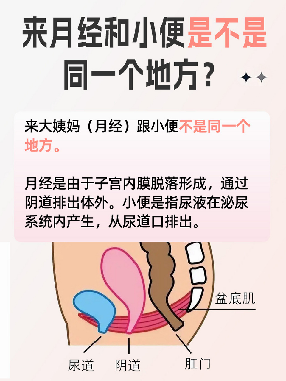 🌀大姨妈,通常指的是月经,由于生理知识的缺乏,很多女性甚至都不