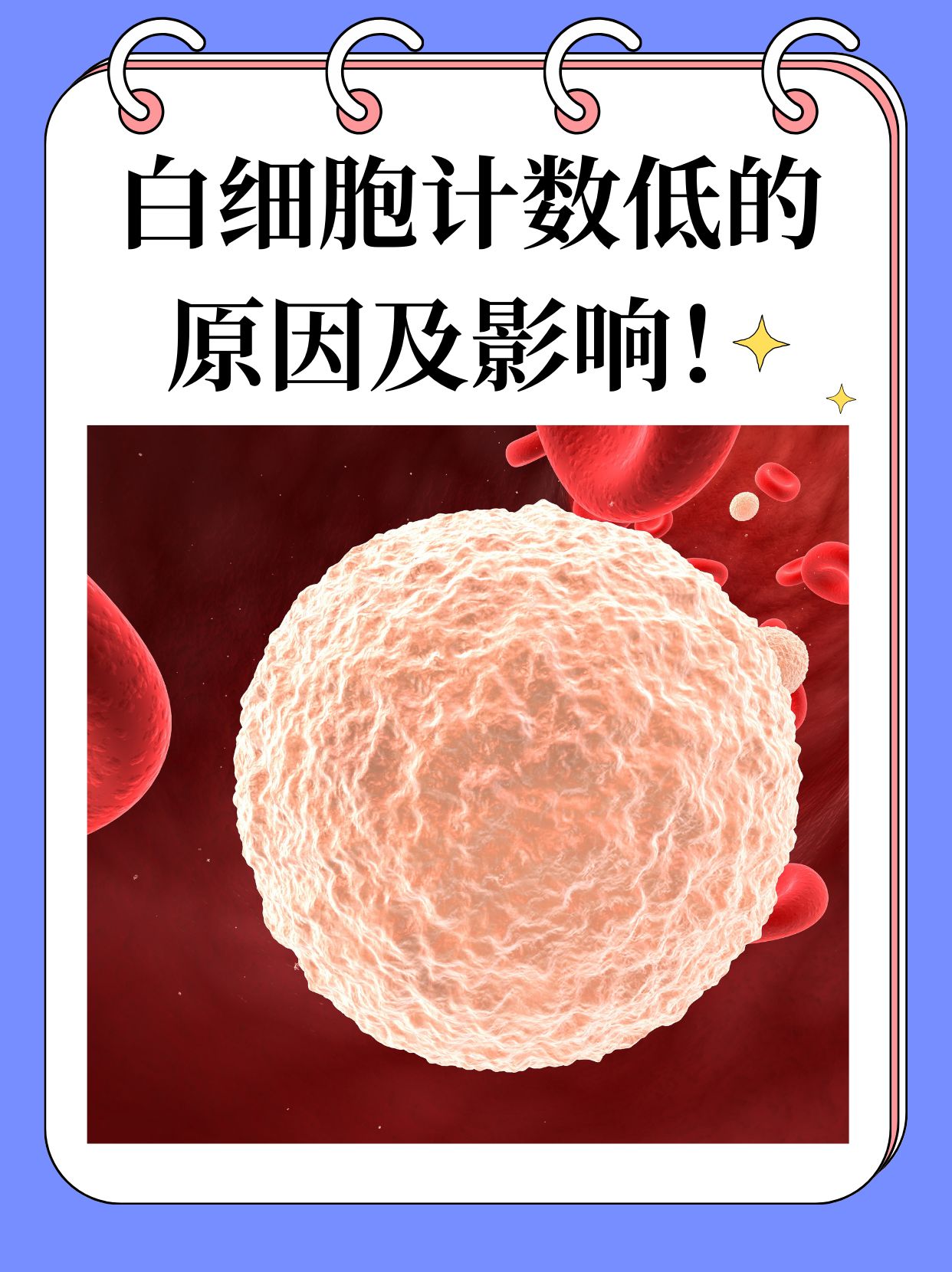 白细胞低28可以恢复百科在线