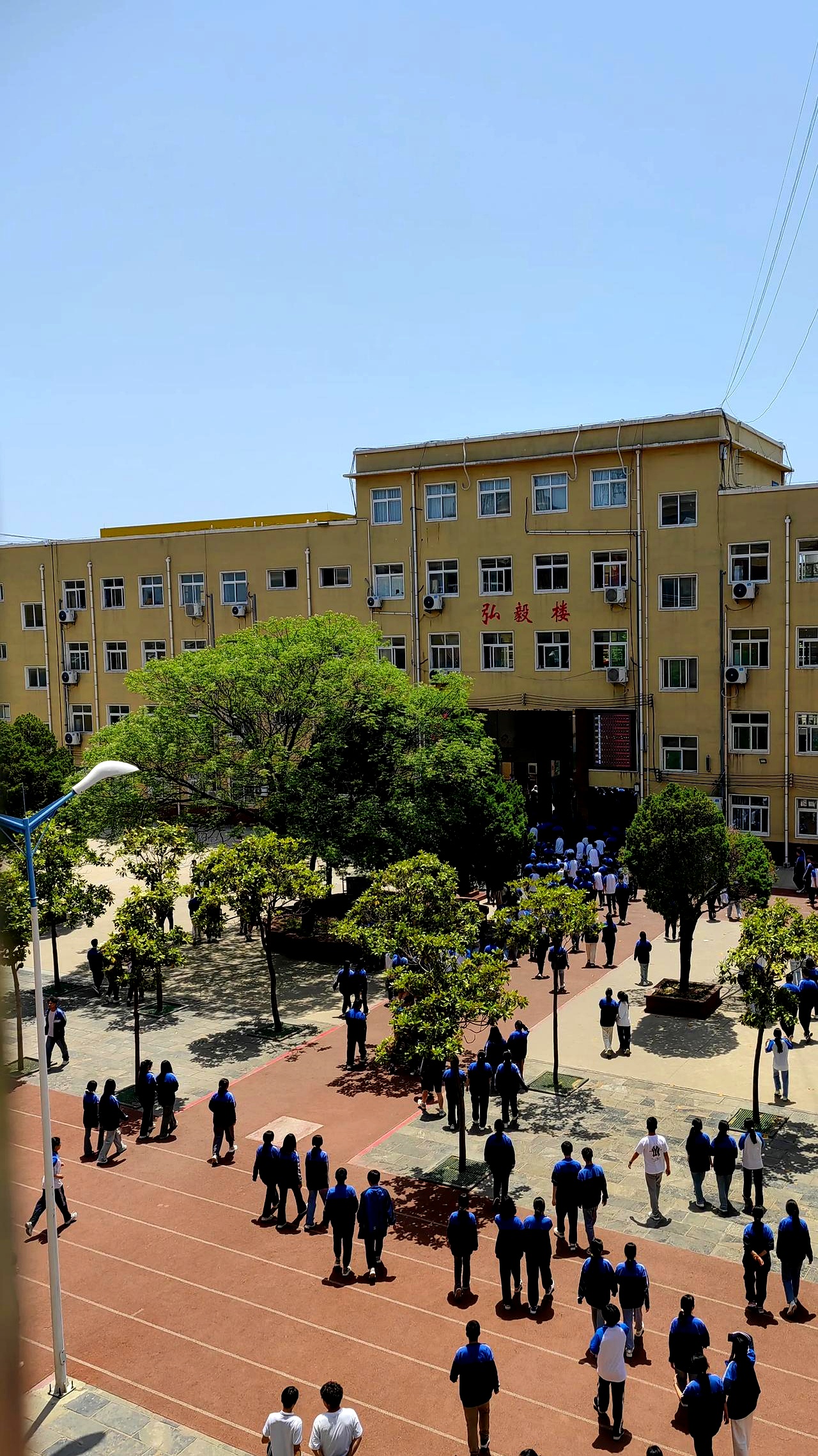 三年轮回又开始了,今年我再次带着高一的学生