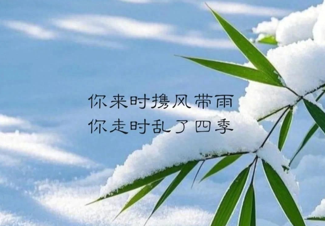 你来时携风带雨,你走时乱了四季
