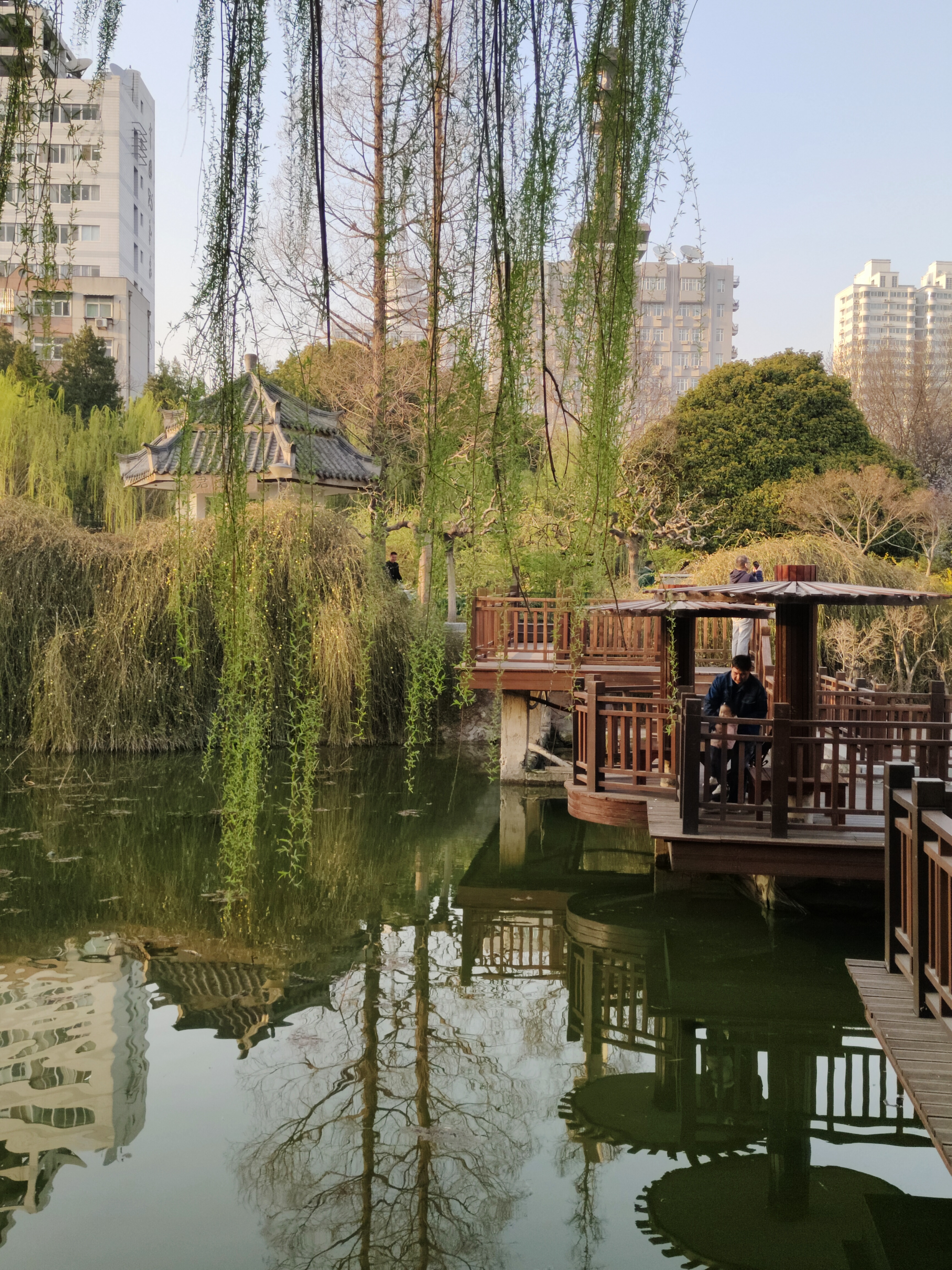 来我的城市过春天# 郑州紫荆山公园:春日赏花,感受文化与美食的交融