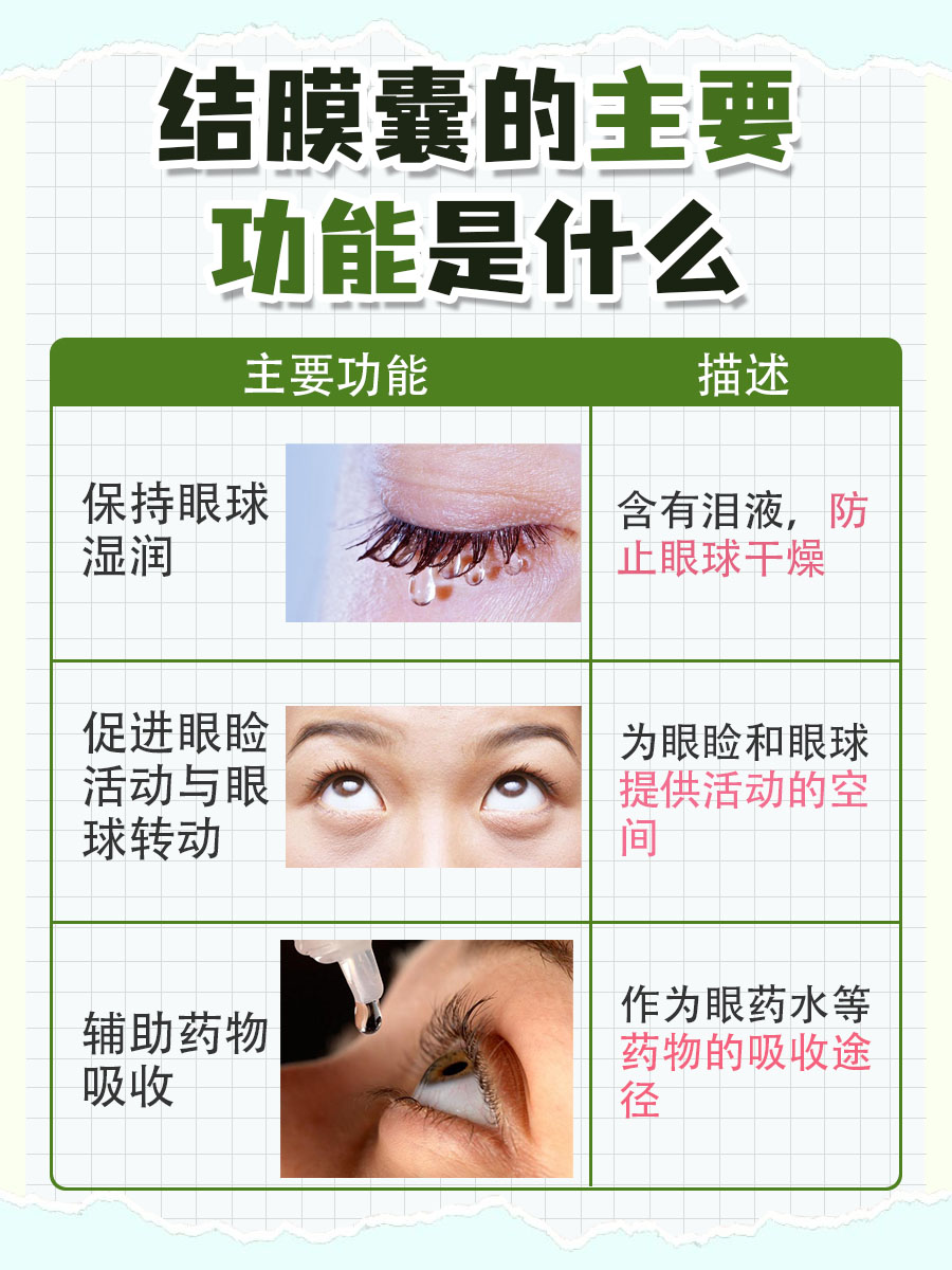 结膜囊是眼睛中的囊状腔隙,由上睑和下睑闭合时