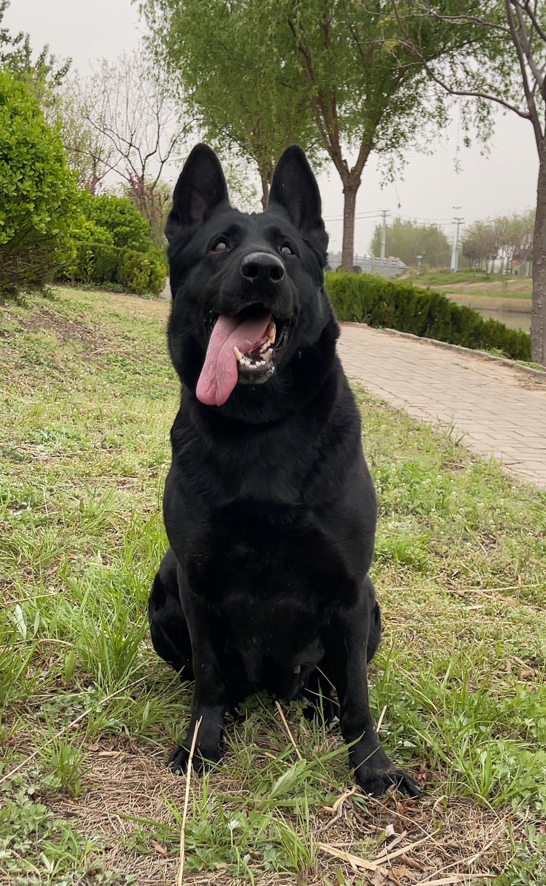 其实很多 "雷区",稍微注意就能避开