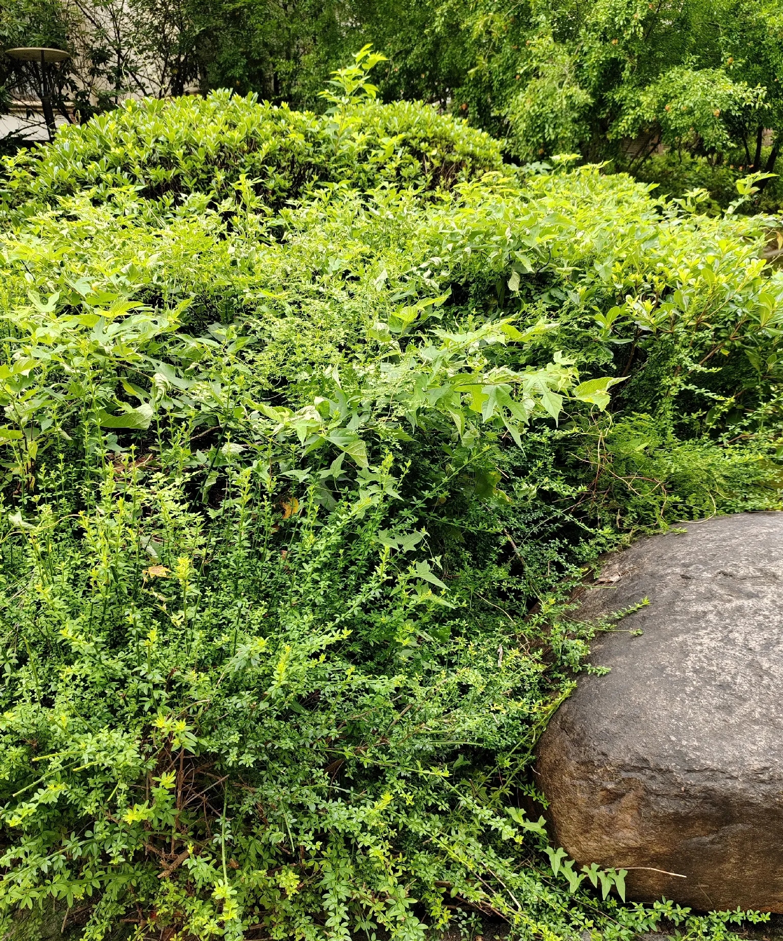 在屋里待着,他老爱打后边儿悄没声地溜达过来,冷不丁就给我来一下子