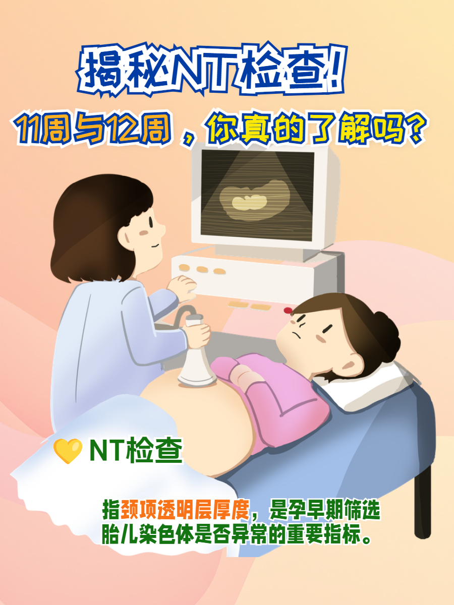 11周与12周,你真的了解吗?