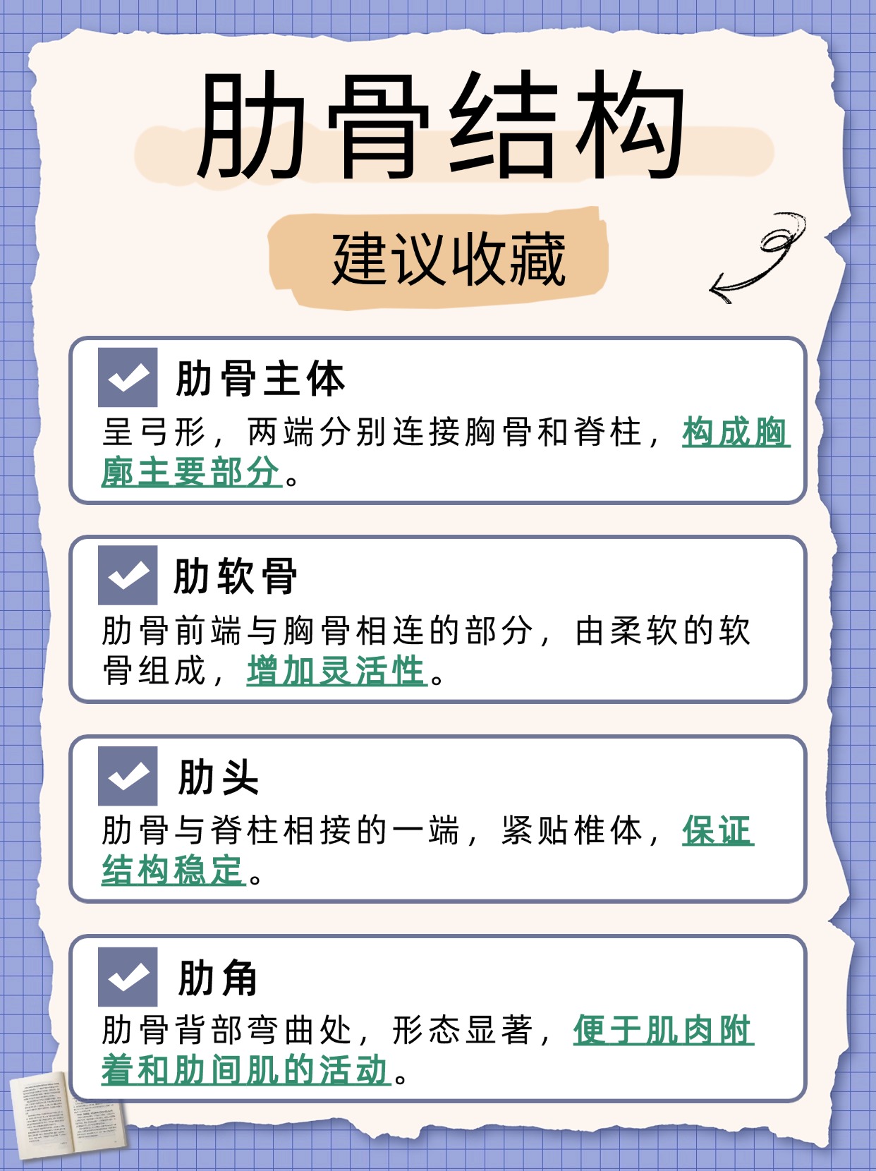 在人体解剖学中肋骨是一系列呈弓形排列的骨头构成了胸廓的主要