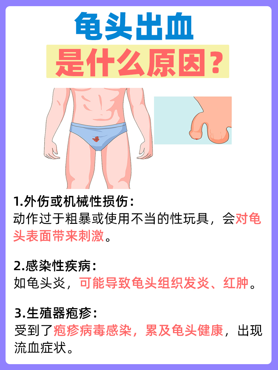 关于龟头为什么叫龟头的信息