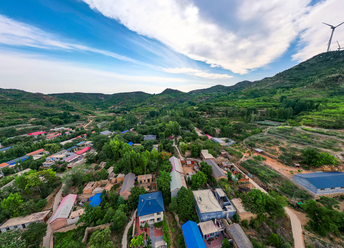 生活的模样# 当七月的凌霄花挂满了村头的屋檐下