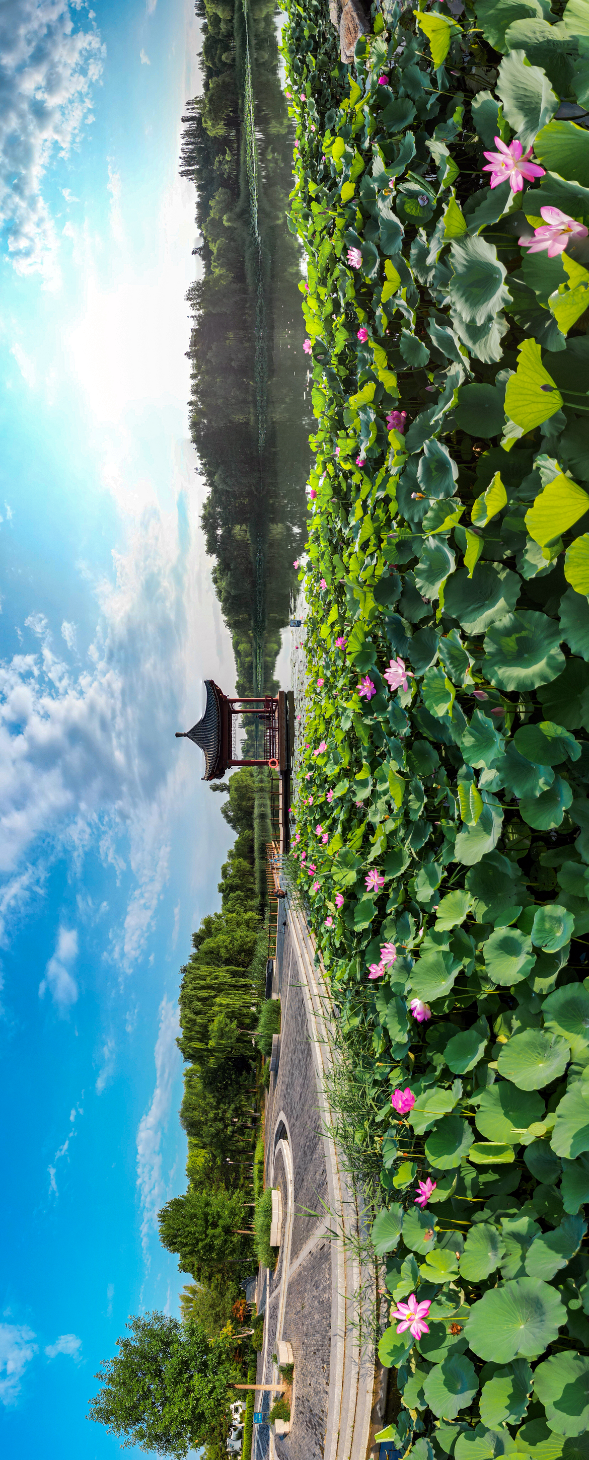 如果评选最佳市民受欢迎的免费公园,章丘的绣江河公园具备了备受欢迎