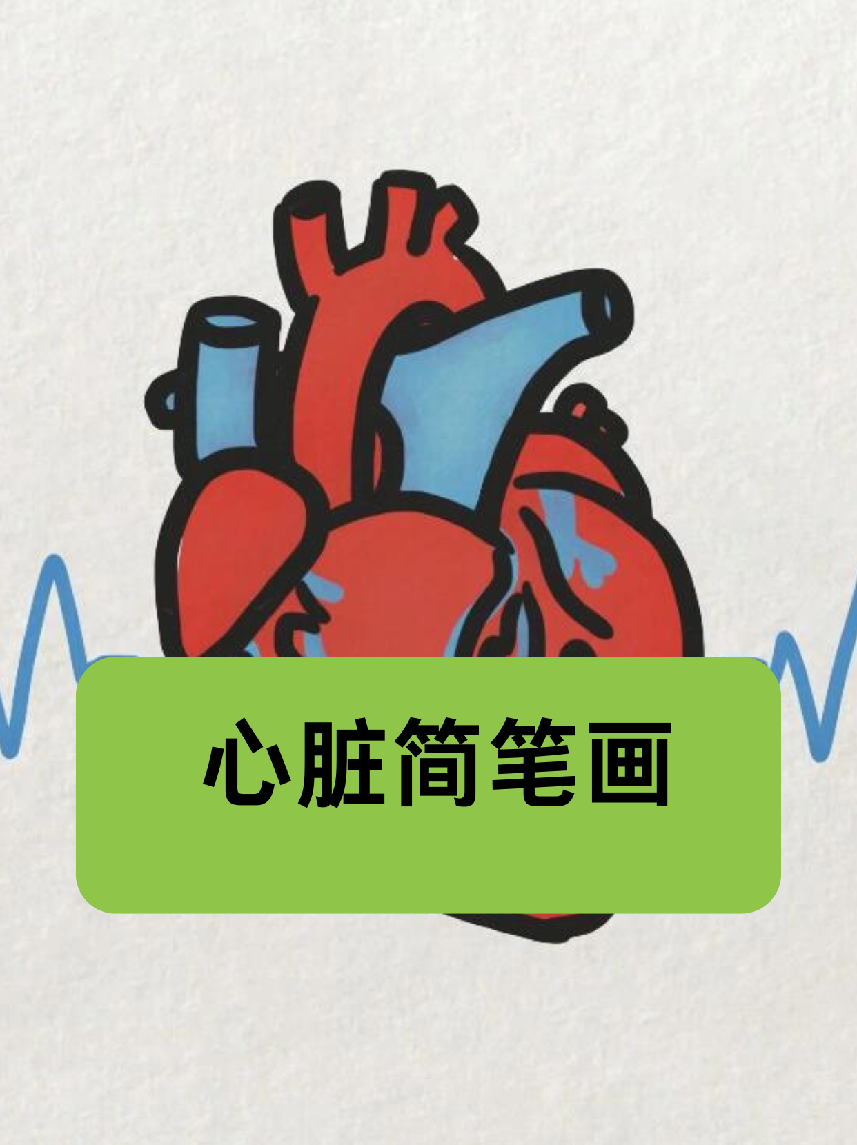 心脏简笔画秘籍  心脏的独特性: 心脏在众多器官里超特别