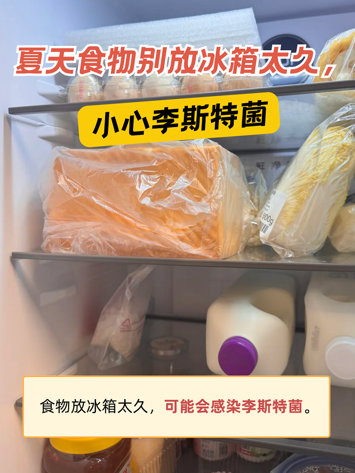 夏天食物别放冰箱太久,小心李斯特菌