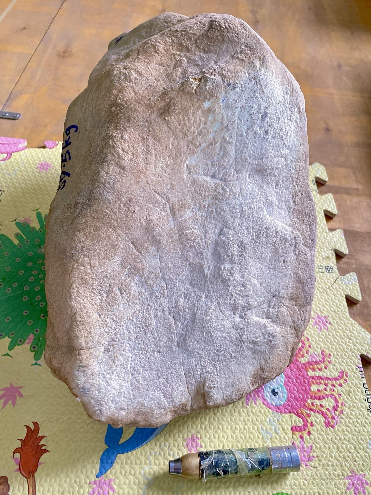 点击头像看直播# #翡翠原石#石头的皮壳纹理如同烟花绽放的瞬间,绚丽