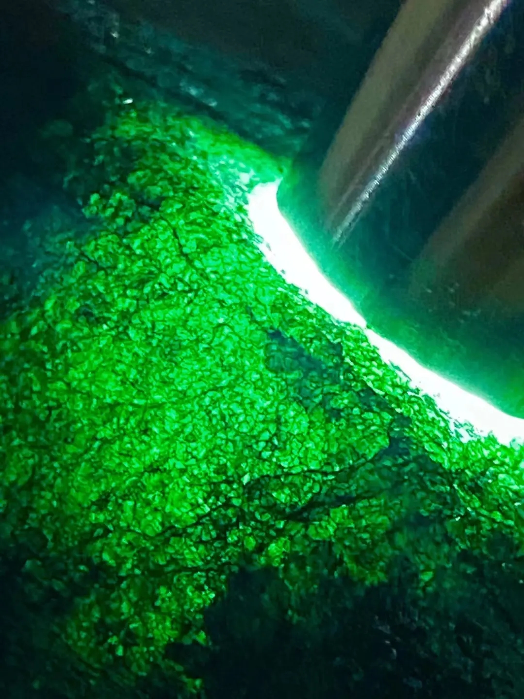 深绿色竖屏